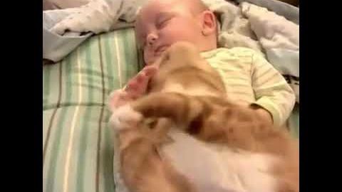 Friendship that makes us laugh kid vs cat funny video New collections