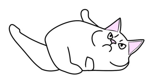 funny cats: grumpy cat edition